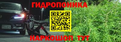 ECSTASY Бузулук